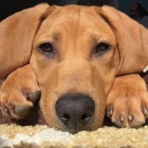 Meet your Posher, Addyson